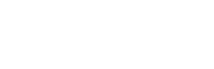 Faelight Foundation